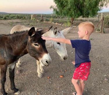 Tankwa Karoo House | Oupoort Eco & Guest Farm - Sutherland - Middelpos