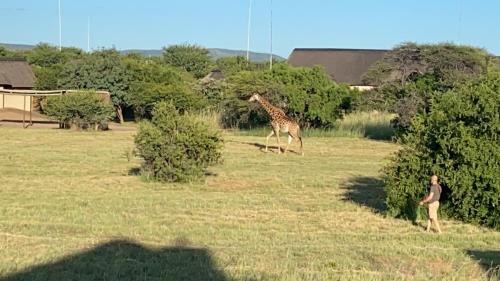 Leeupoort Villa | Luna Crescente 19 and 19A Zebula golf and spa resort 14 Pax Bela Bela Limpopo