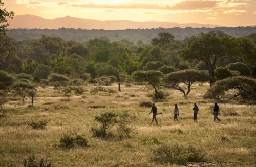 Ehlanzeni Cabin | Lion Sands River Lodge