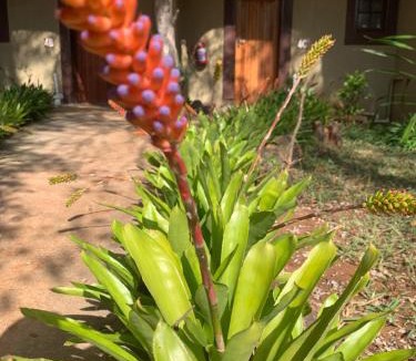 Mopani Hotel | Selati River Ruins