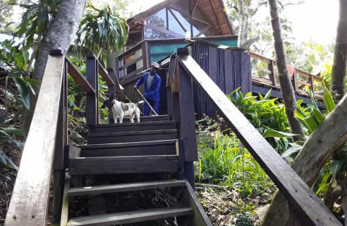 Port St Johns Cabin | Delicious Monster Accommodation