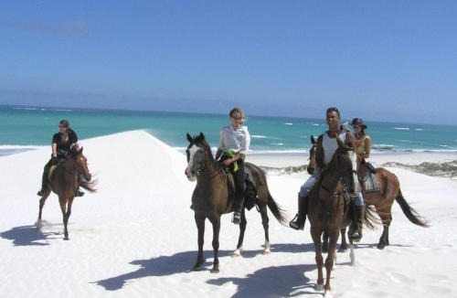 De Kelders House | Crayfish Lodge Sea & Country Guest House