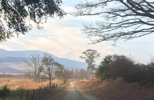 Karkloof Nature Reserve Cabin | Rockwood Karkloof Forest Lodge & Mountain Cabin
