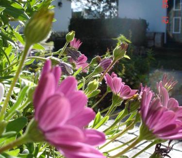 Riversdale Hotel | De Doornkraal Vinotel