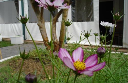 Riversdale Hotel | De Doornkraal Vinotel