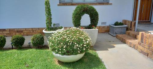 Ceres Apartment | VREDE & VREUGDE