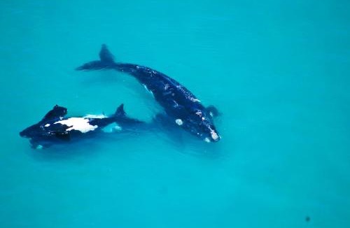 Sandbaai Hotel | Schulphoek Seafront Boutique Hotel