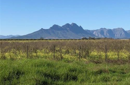 Kraaifontein House | The Vineyard East