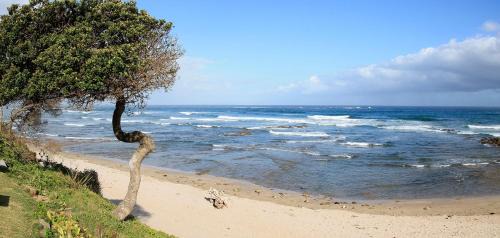 Kei Mouth Apartment | Neptunes Cove