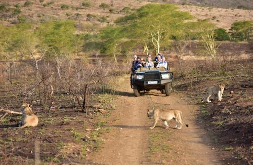 Hluhluwe Cabin | Bayala Private Safari Lodges
