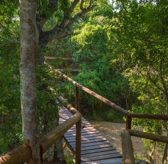 Thorny Bush Game Reserve Resort | Panzi Lodge