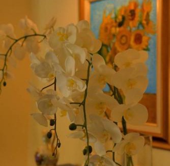 Trawal House | Dolliwarie Guesthouse