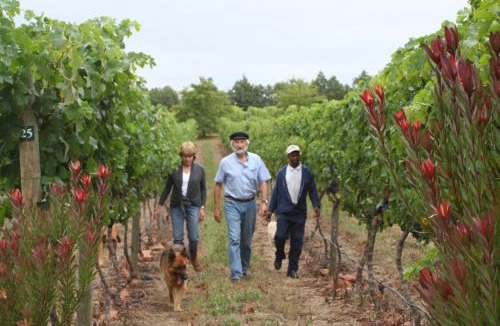 Grabouw House | Belfield Wines and Farm Cottages