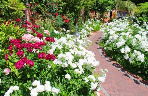 Montagu Hotel | Montagu Country Hotel