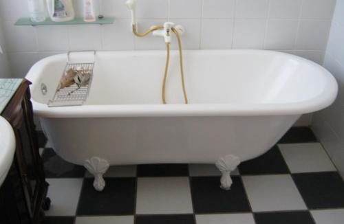 Ladismith House | Ladismith Manor