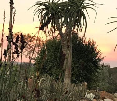 Robertson Hotel | Olive Hill Guest House