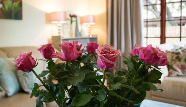 Lavender Lane Guest House in George