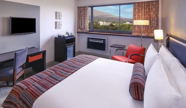 Southern Sun Newlands