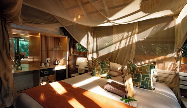 Kosi Forest Lodge in uMhlabuyalingana