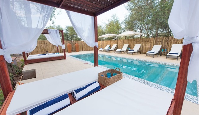 Bushbaby River Lodge in Hoedspruit