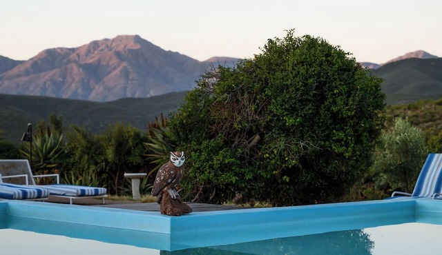 Le Petit Karoo in Oudtshoorn