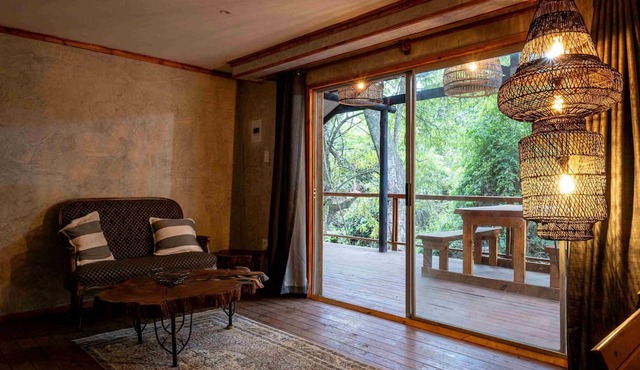 Matumi Trail Forest Lodge in Tzaneen
