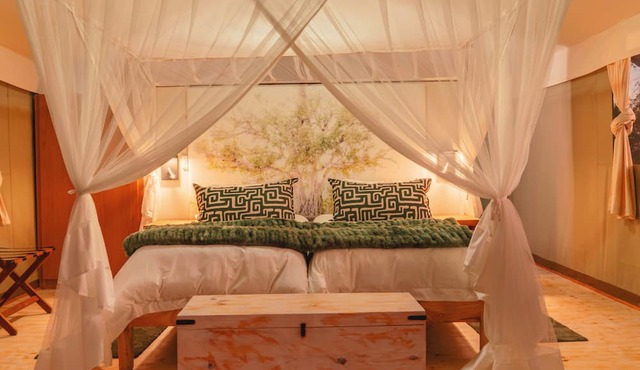 Cape Vulture Lodge in Hoedspruit