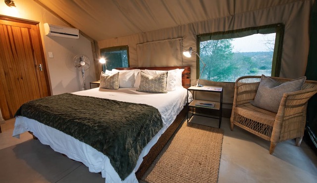 Sausage Tree Safari Camp in Hoedspruit