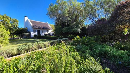 Finchlea Cottage in Stanford