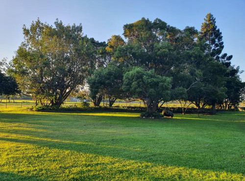 Wild Aloe Homestead in Gqeberha