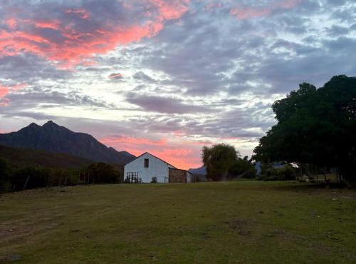 Bonniedale Wilderness Ranch in Ruiterbos