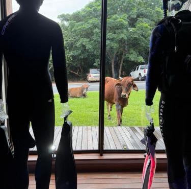 Big Blue Boutique Resort - Sodwana Bay in Sodwana Bay