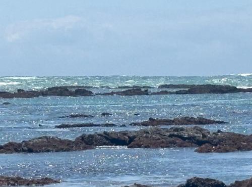 Paradise Cove Marina in Jeffreys Bay