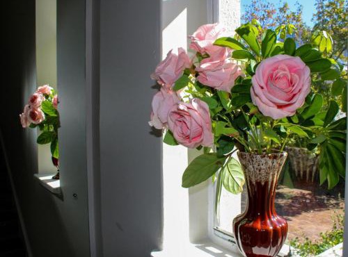 Oak Manor Boutique Guest House in Cape Town