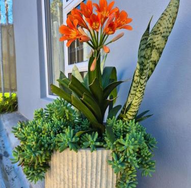 Garden hideaway near cafés, & cultural hotspots