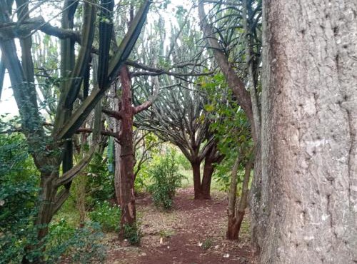 Ethlathini Rest Camp in Hluhluwe