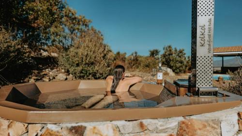 Barton Plover Villa near Hermanus - Pool Hot Tub in Botrivier