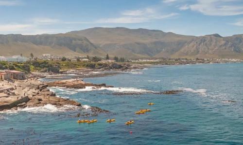 Little Tara Cottage in Hermanus