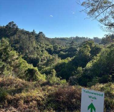 The Nest with Mountain views at Soul Forest in Sedgefield