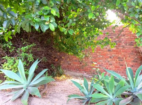 Bluewater Coastal Boutique Stay in Gqeberha