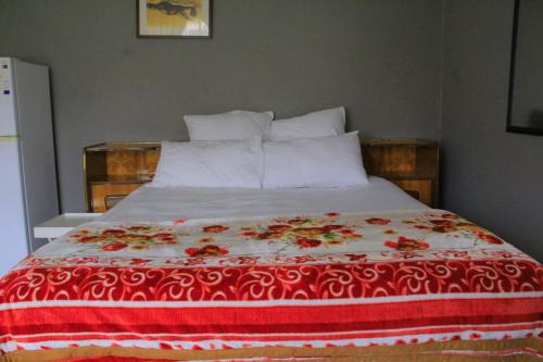 Willy Smart Guesthouse PMB in Vosburg