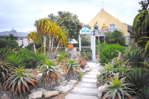 Duivenvlugt Loft in Stilbaai