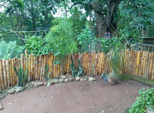 Forest View Escape in Vosburg