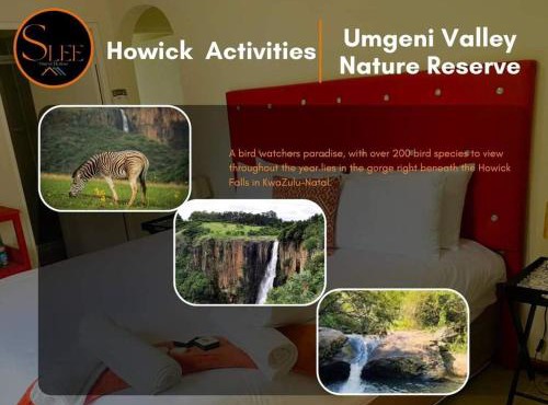 Slee Guest House in Howick