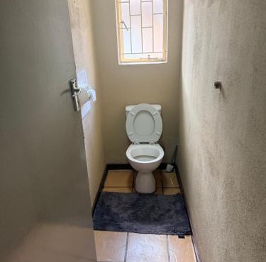 Wildevy in Polokwane