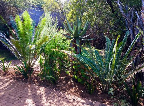 Aloe Bush Game Lodge in Marble Hall
