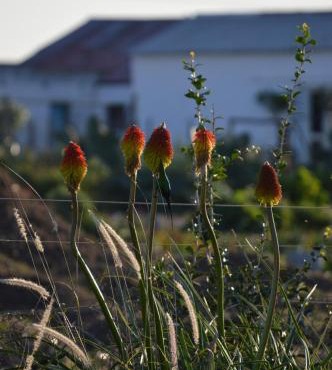 The Old Dairy at Allemanskloof in Paarl