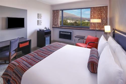 Southern Sun Newlands