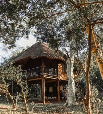 Ubizane Zululand Tree Lodge in Hluhluwe