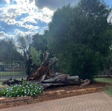 Revitalize in Springs